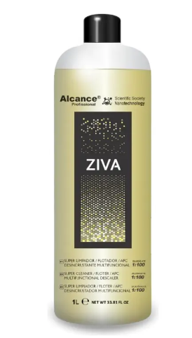 ZIVA LIMPADOR MULTIFUNCIONAL FLOTADOR INTERNA E EXTERNA 500ML ALCANCE